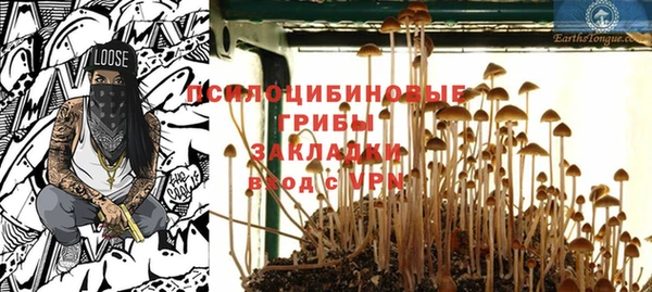 мяу мяу мука Абаза