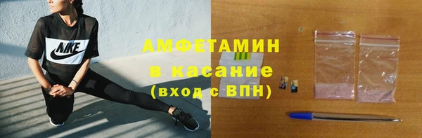 гашик Алексин
