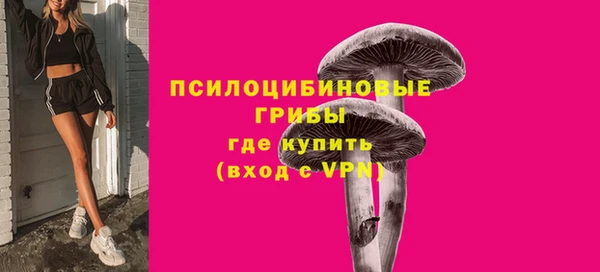 шишки Абдулино