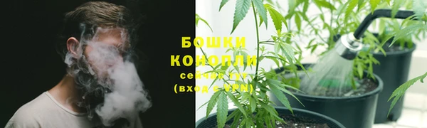 шишки Абдулино