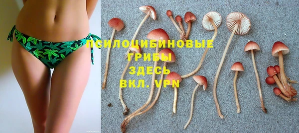 шишки Абдулино