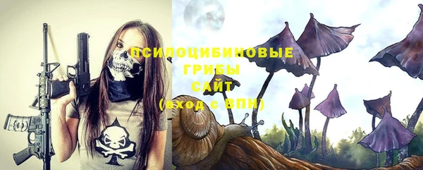 шишки Абдулино